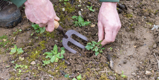 Spear & Jackson Elements Trowel and Weed Fork
