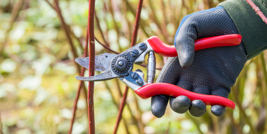 Spear and Jackson Razorsharp PRO Short Blade Bypass Secateurs
