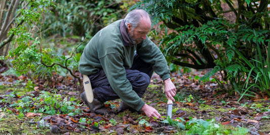 Weeding at Barnsdale Gardens with the Niwaki Hori Hori