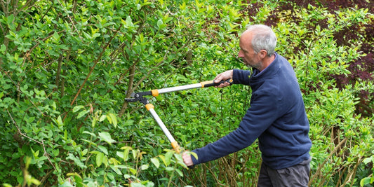 Jon Brocklebank using Stiga telescopic bypass loppers at Barnsdale Gardens