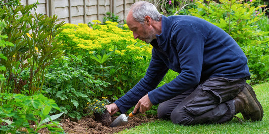Stiga Transplanter Trowel being used at Barnsdale Gardens