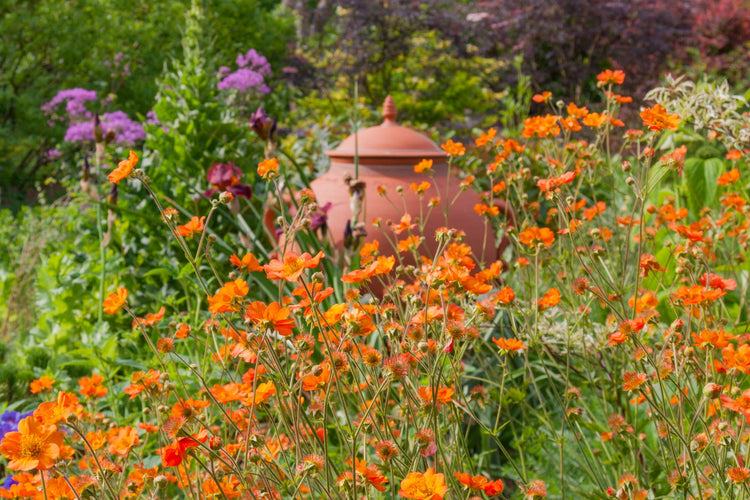 Souvenirs, header image: Geoff Hamilton Winter Border at Barnsdale Gardens