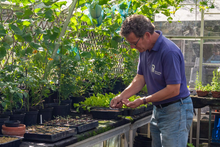 All courses at Barnsdale Gardens: sowing seed in the greenhouse, header image.