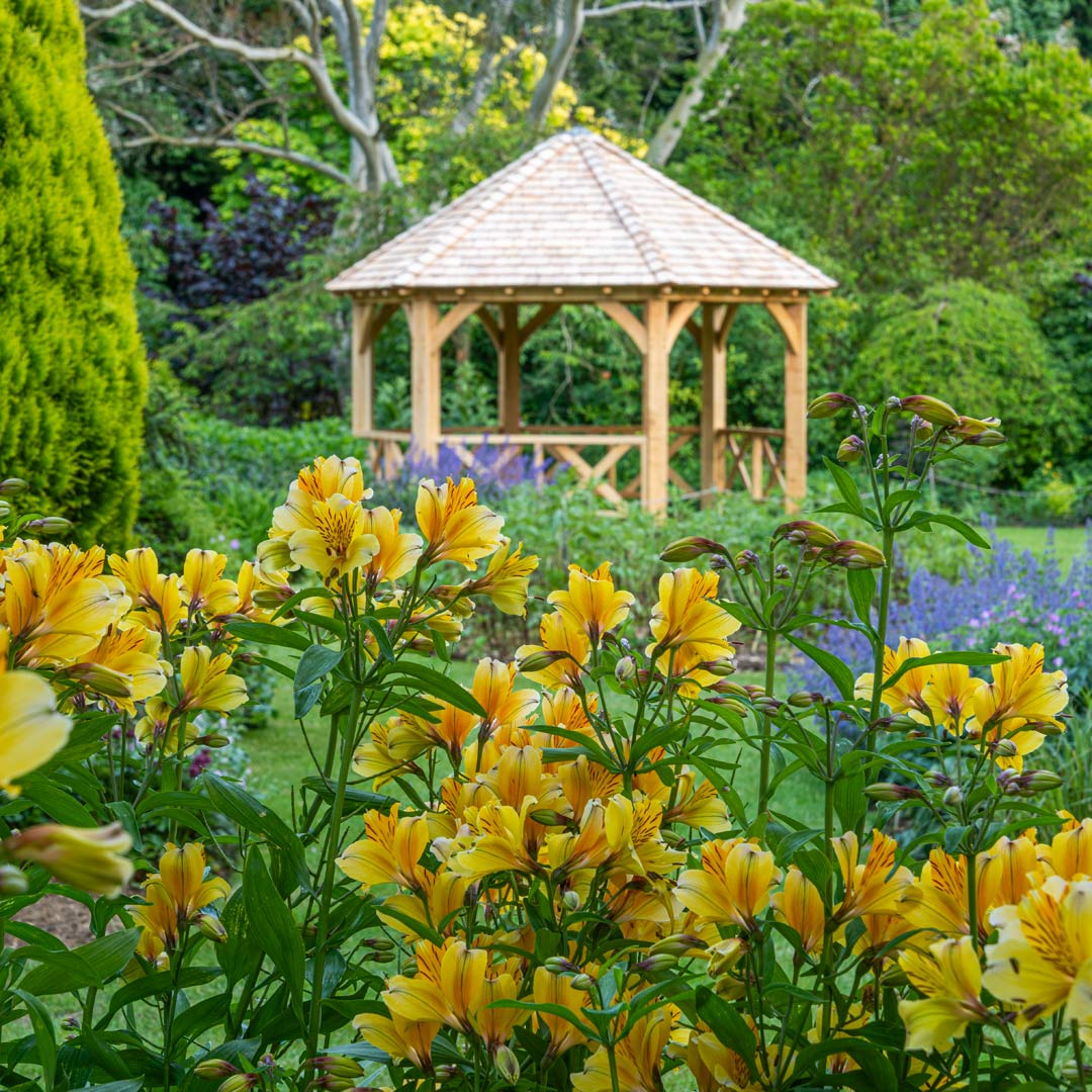 Barnsdale Gardens' Wedding Showcase. 4th October 2025.
