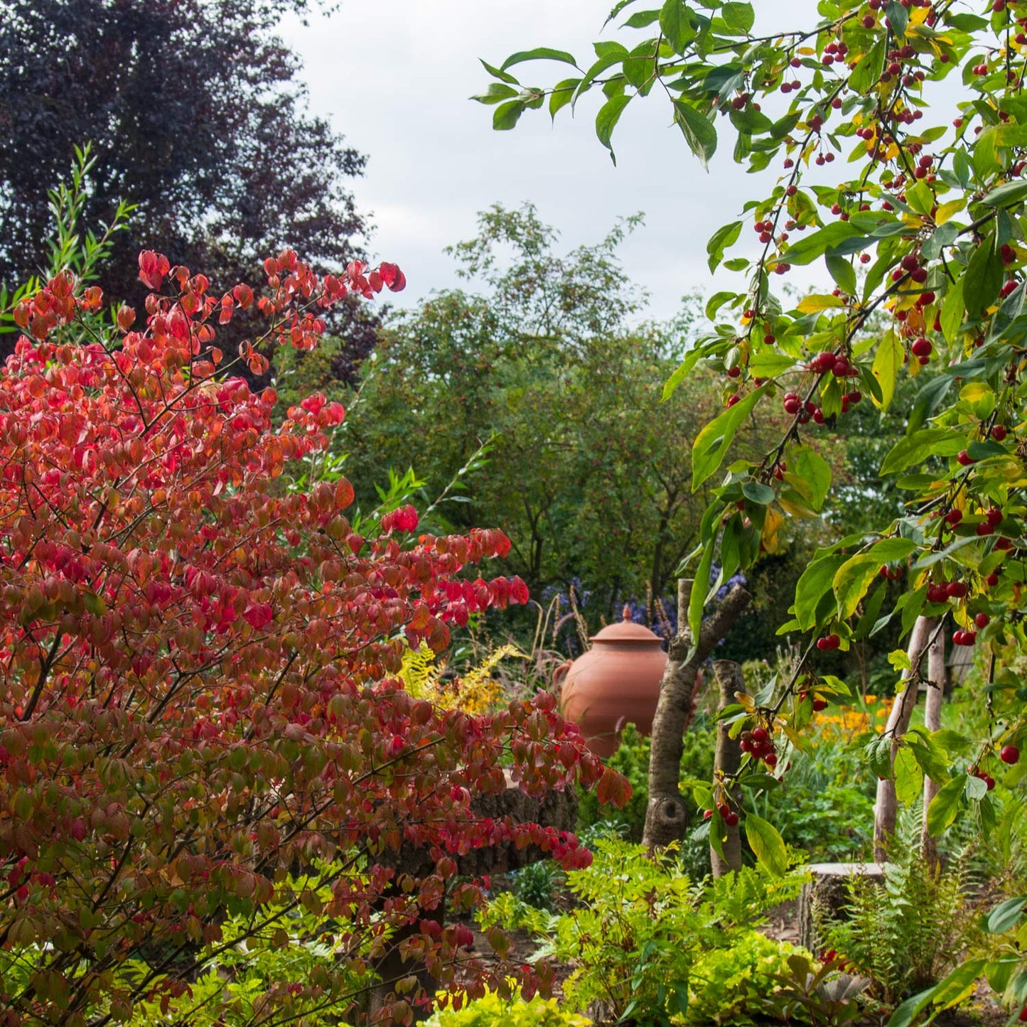365 Days of Colour: Choosing plants for interest through the seasons, gardening course. Geoff Hamilton Winter Border at Barnsdale Gardens.