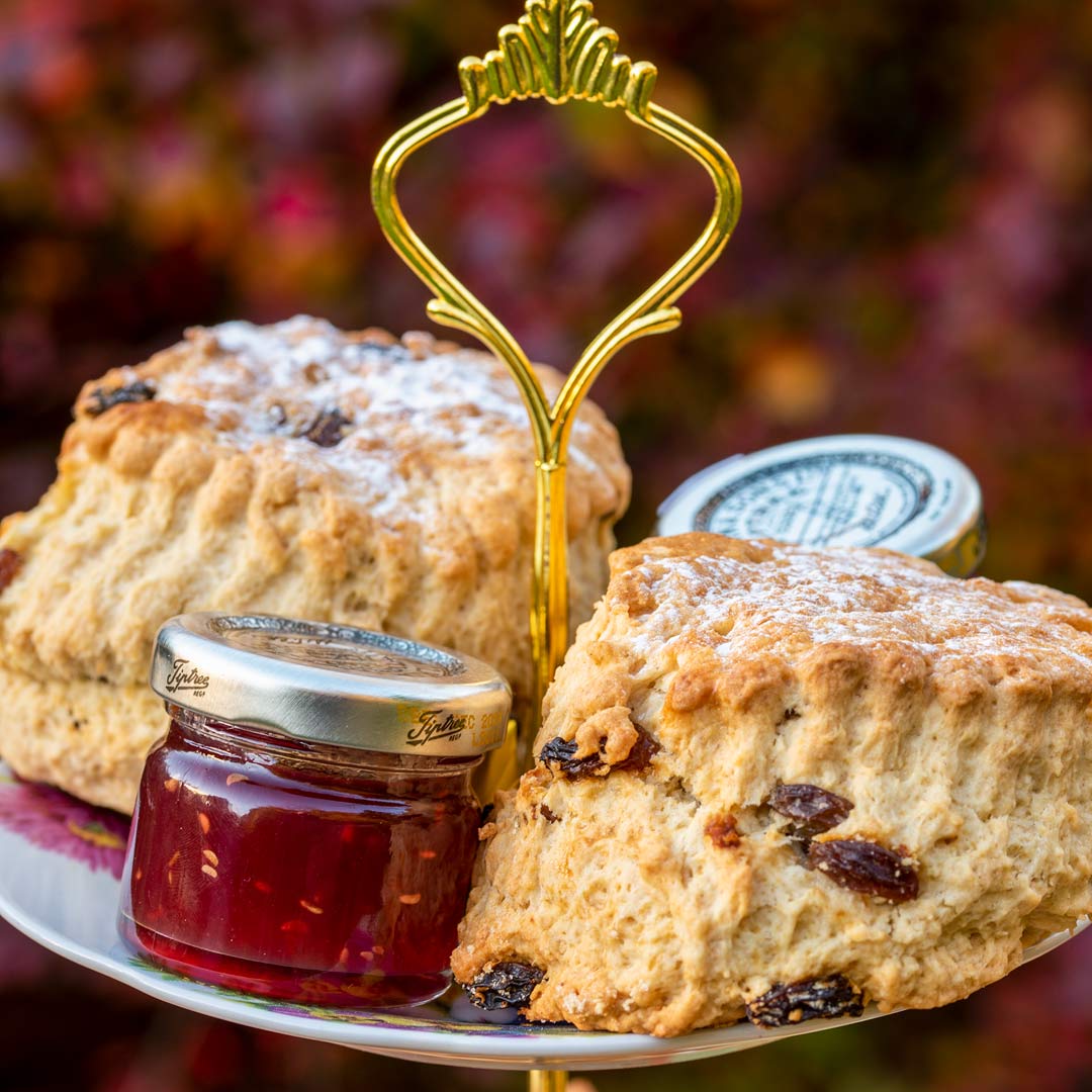 Children's Christmas Afternoon Tea