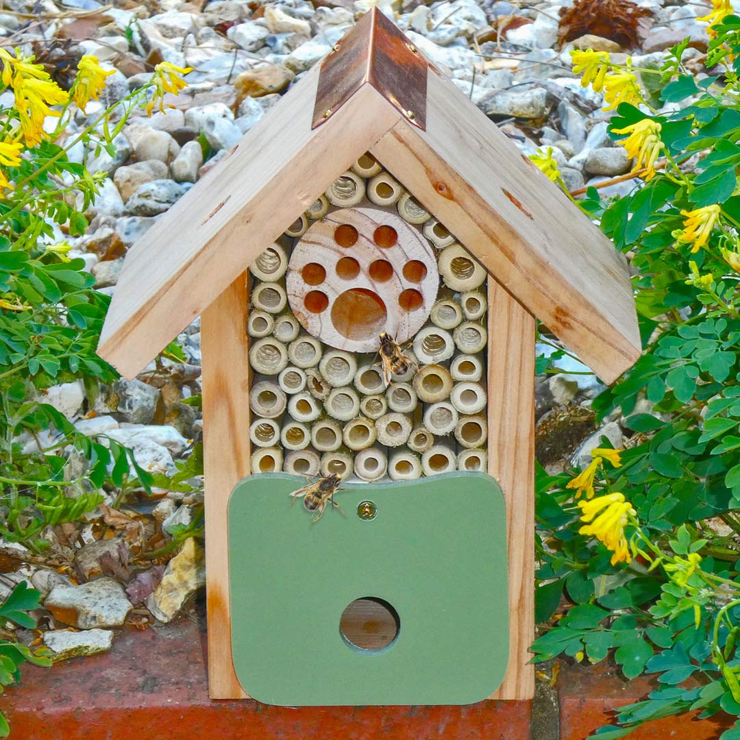 Bee Barn, with solitary bees crawling on the front.