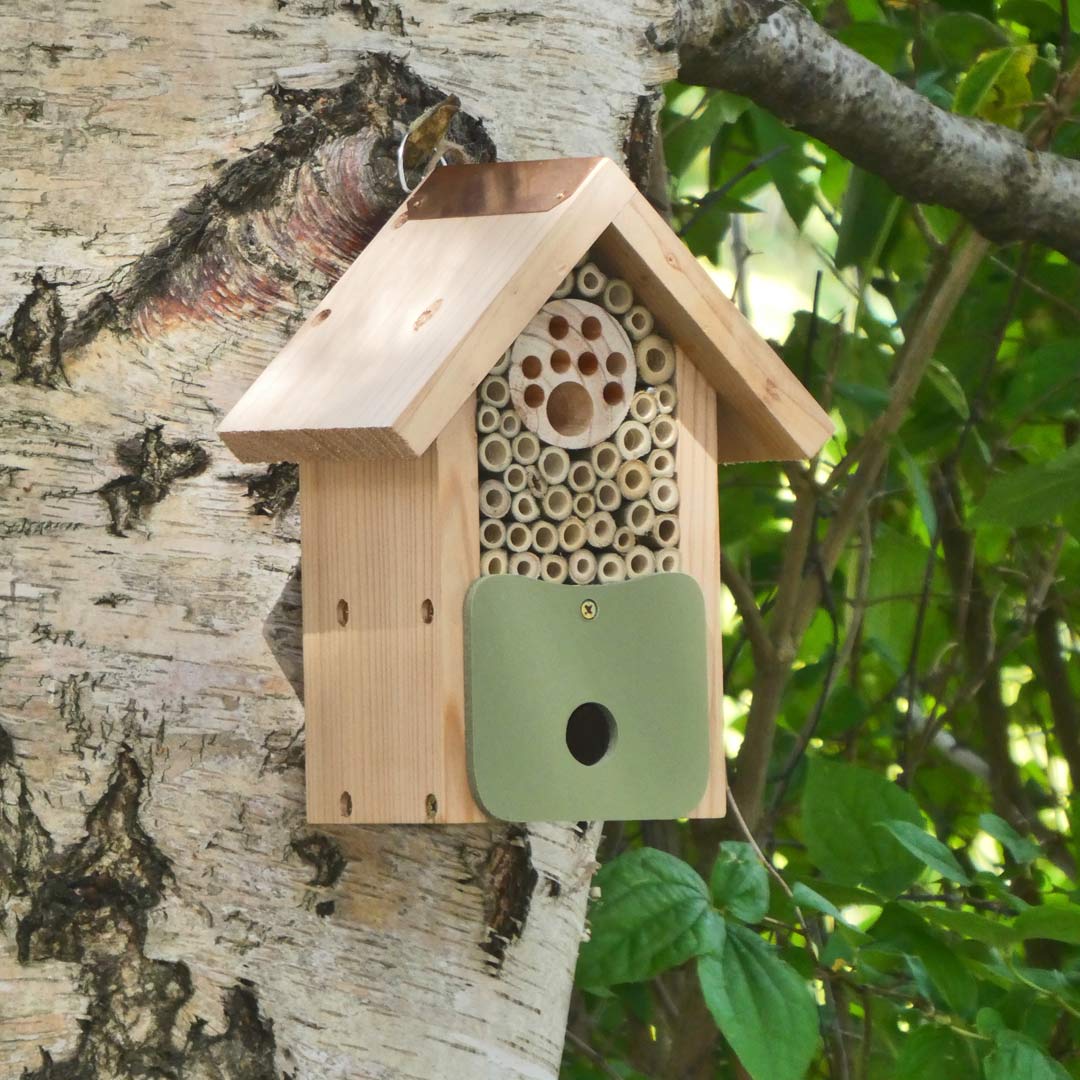 Bee Barn. Shelter and home for bees and beneficial insects, hanging from tree.