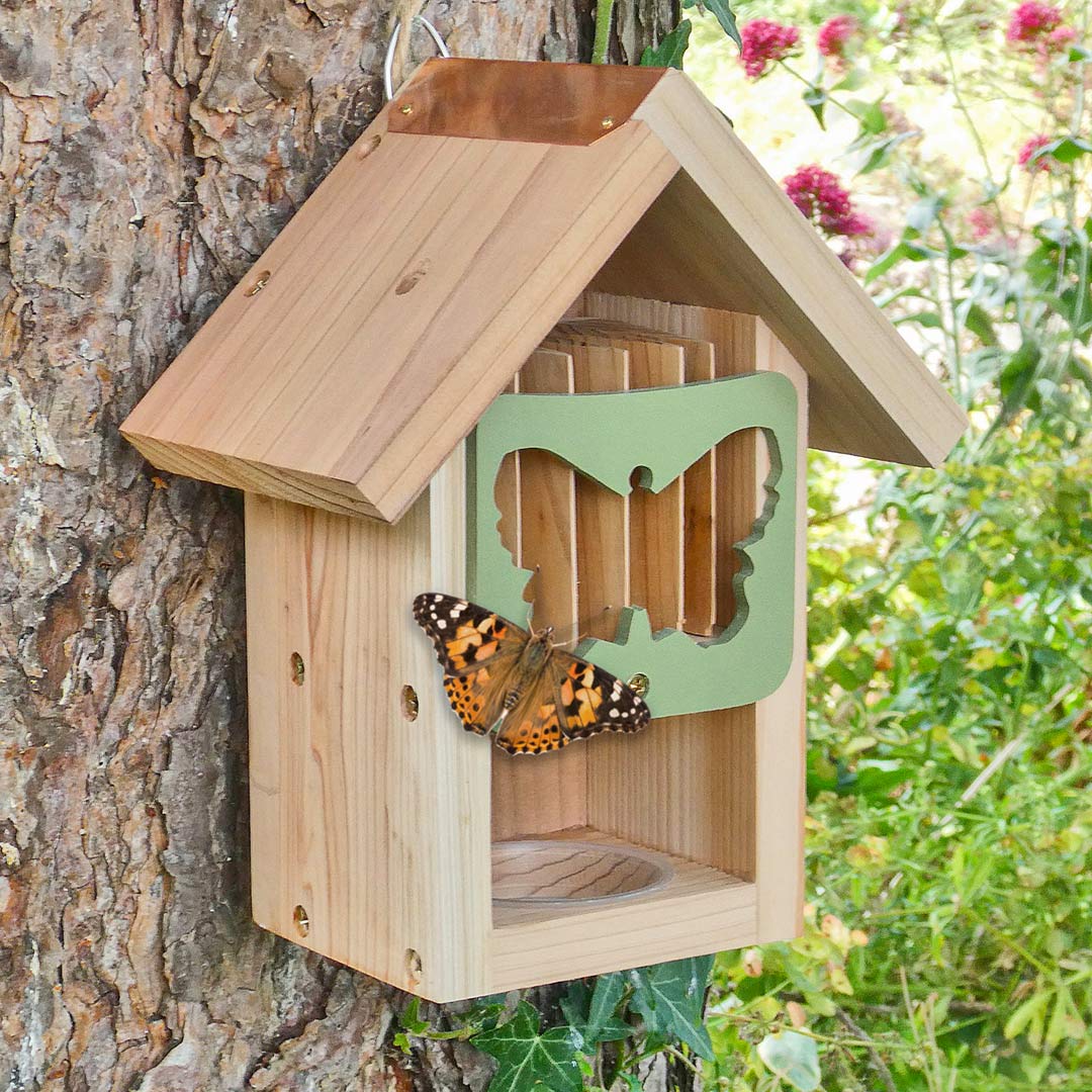 Butterfly Barn with Painted Lady butterfly