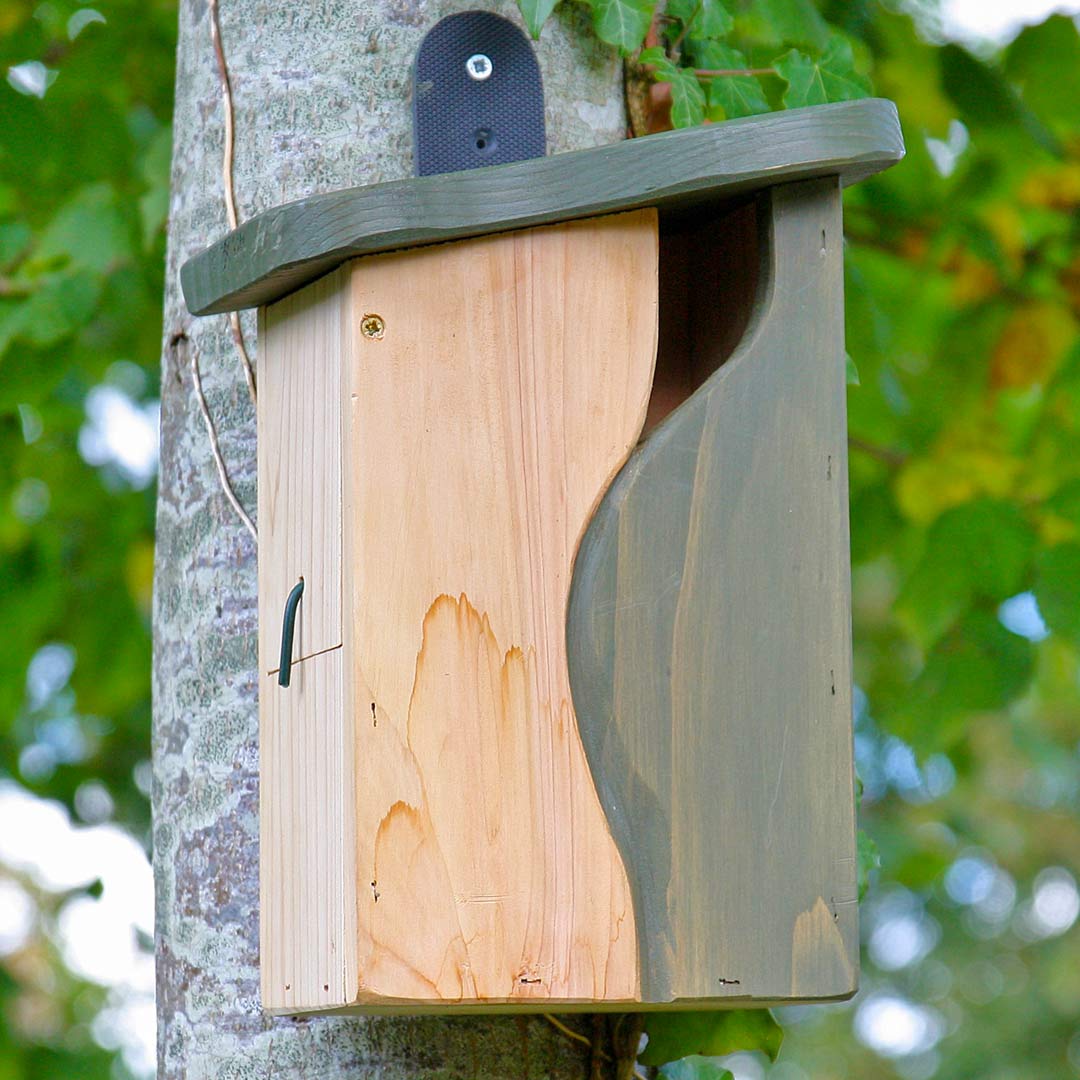 Curve, Cavity Nest Box