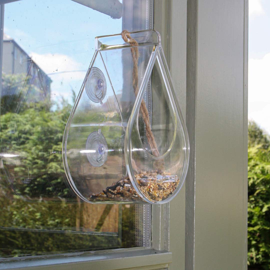 Dewdrop Window Bird Feeder, fixed to window, with bird seed inside.