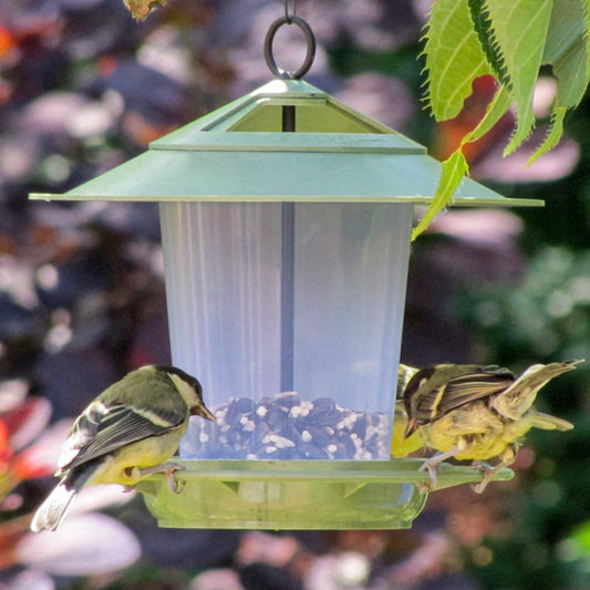 Eco Beacon Bird Feeder, with Great Tits feeding.