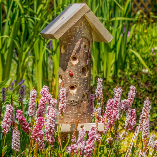 Ladybird Tower