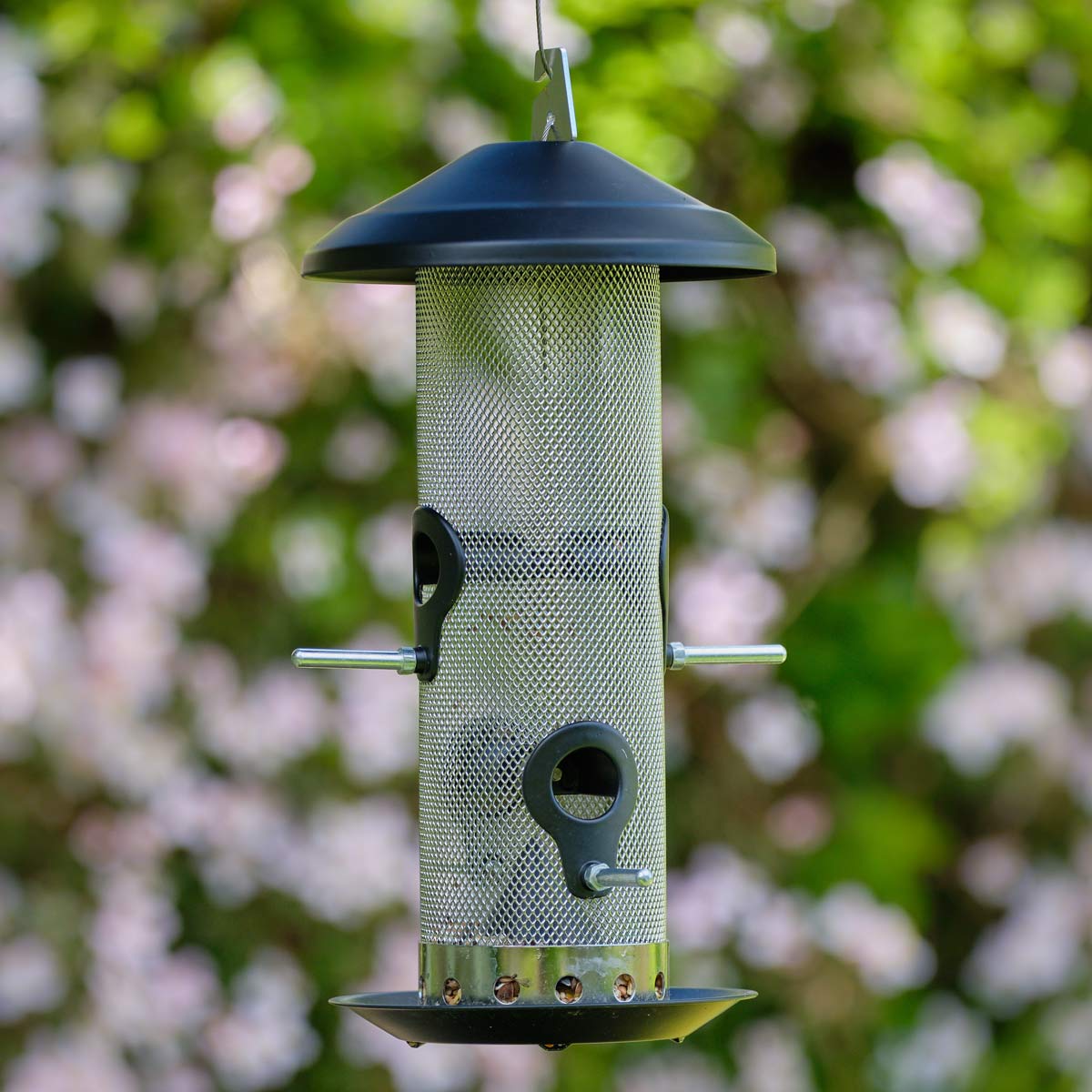 Seed Bird Feeder. Empty showing metal mesh construction