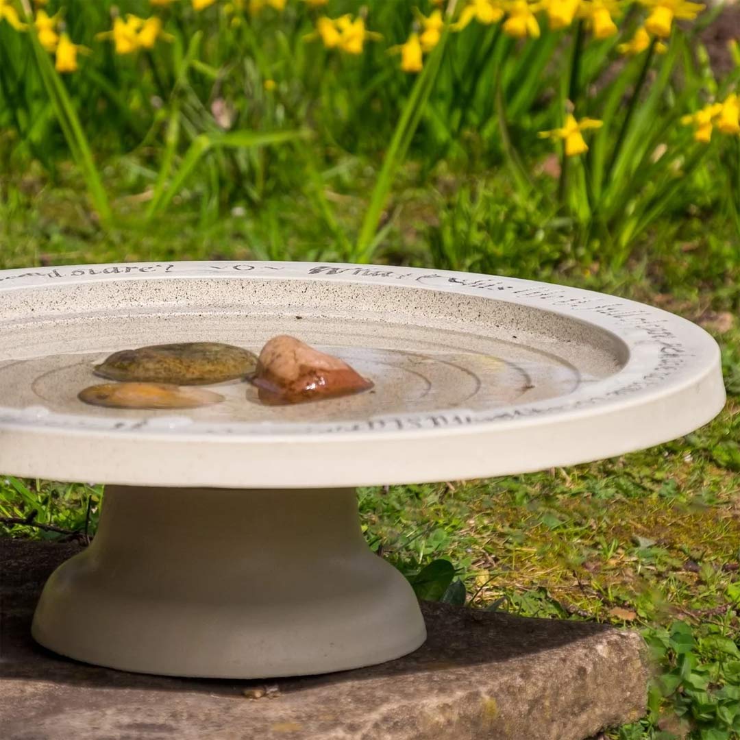 Shenstone Theatre Bird Bath and Drinker