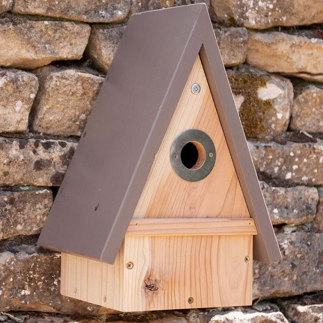 Timeless Multi-Species Bird House, hung on stone wall.