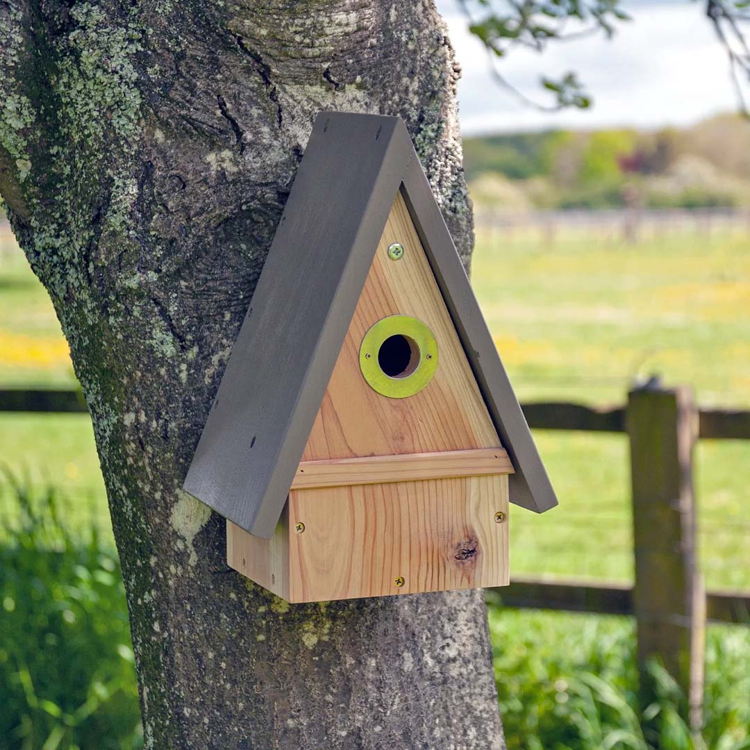 Multi-Species nest box, hung on tree trunk