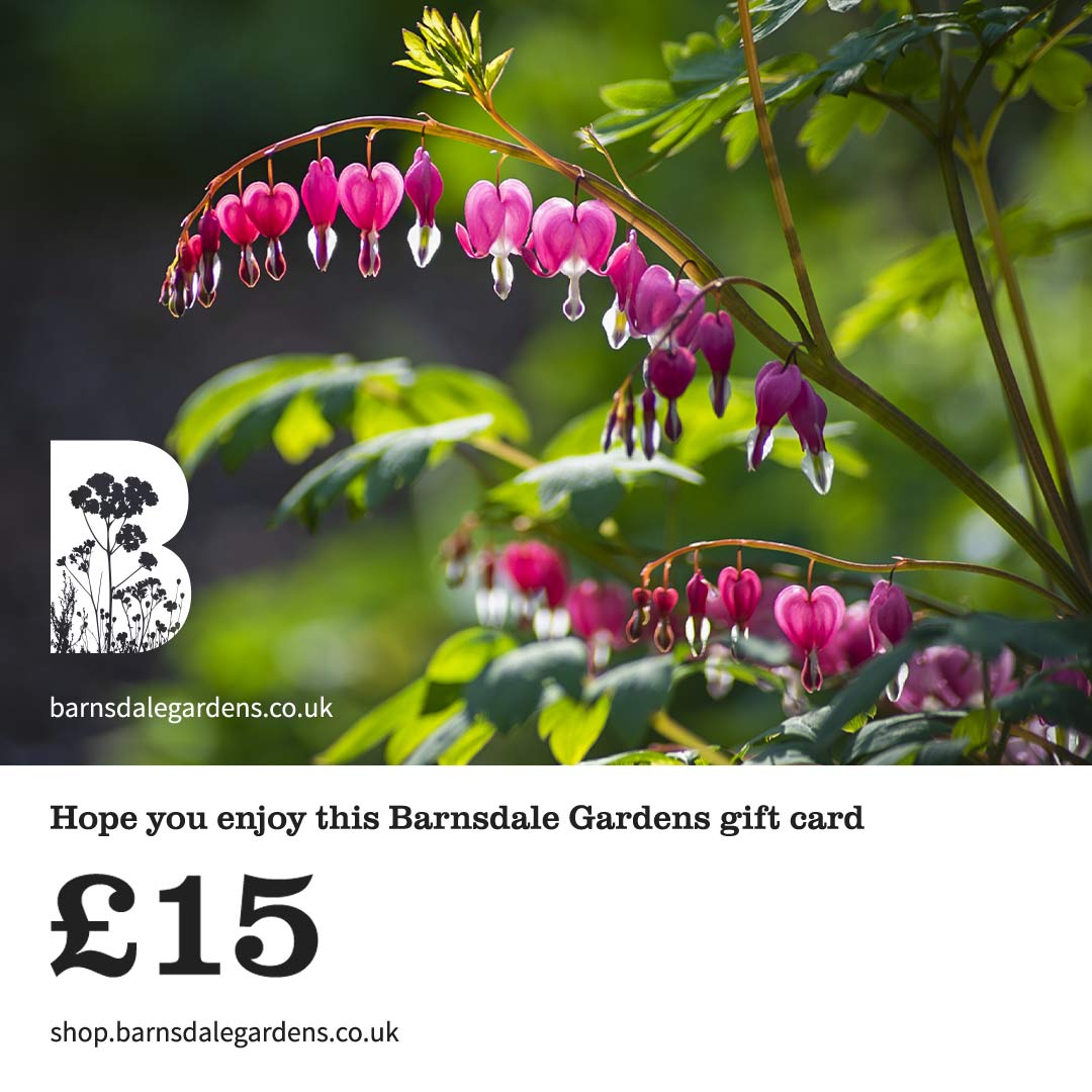 Digital Gift Card from Barnsdale Gardens