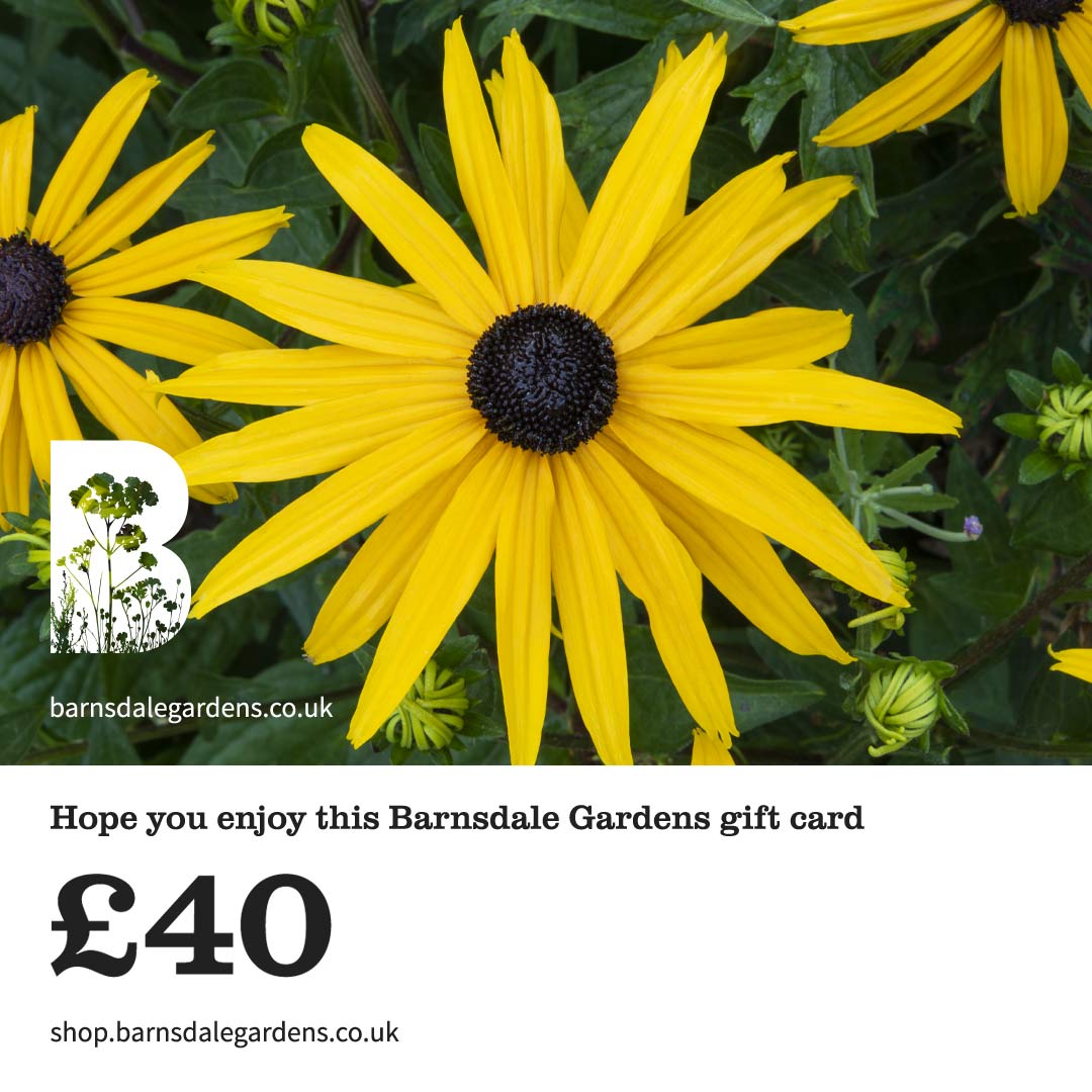 Digital Gift Card from Barnsdale Gardens