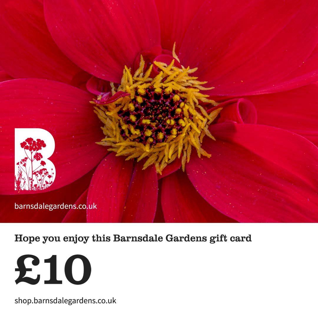 Digital Gift Card from Barnsdale Gardens