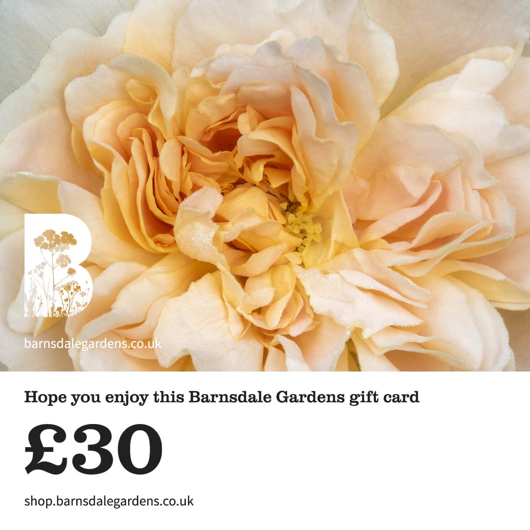 Digital Gift Card from Barnsdale Gardens