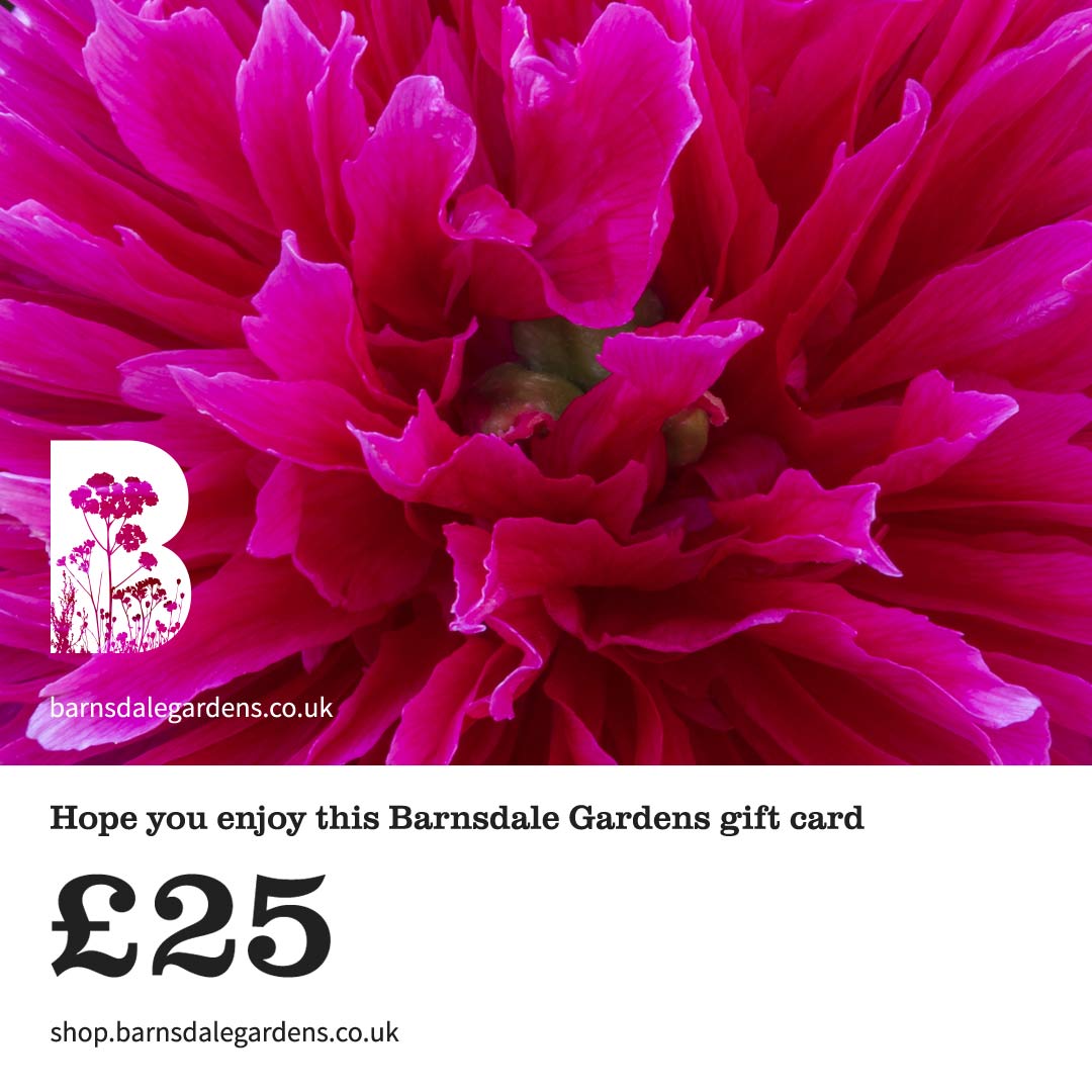 Digital Gift Card from Barnsdale Gardens