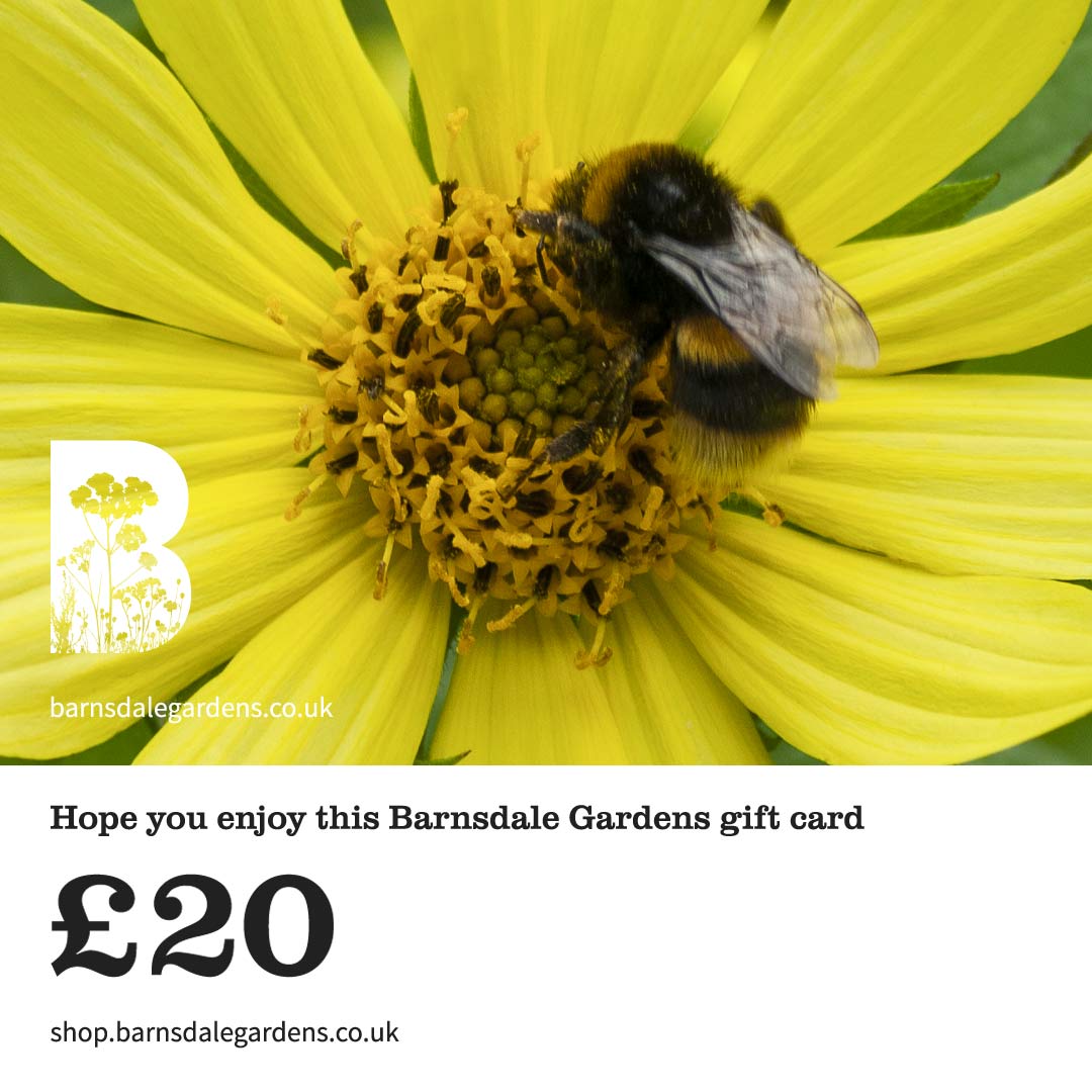 Digital Gift Card from Barnsdale Gardens