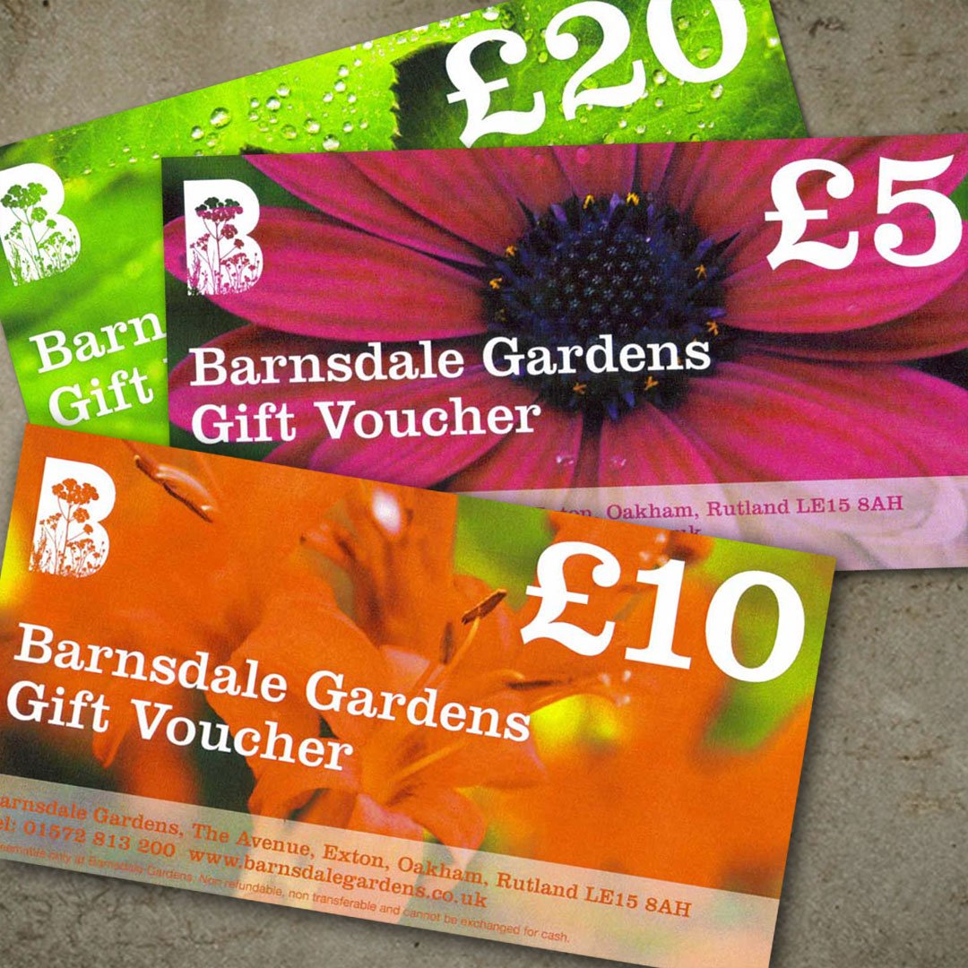Gift Vouchers