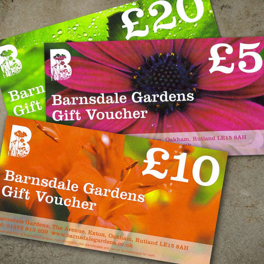 Gift Vouchers