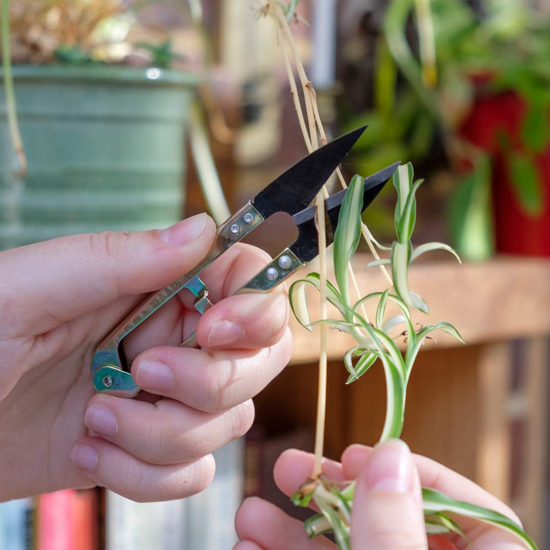 Mini snips