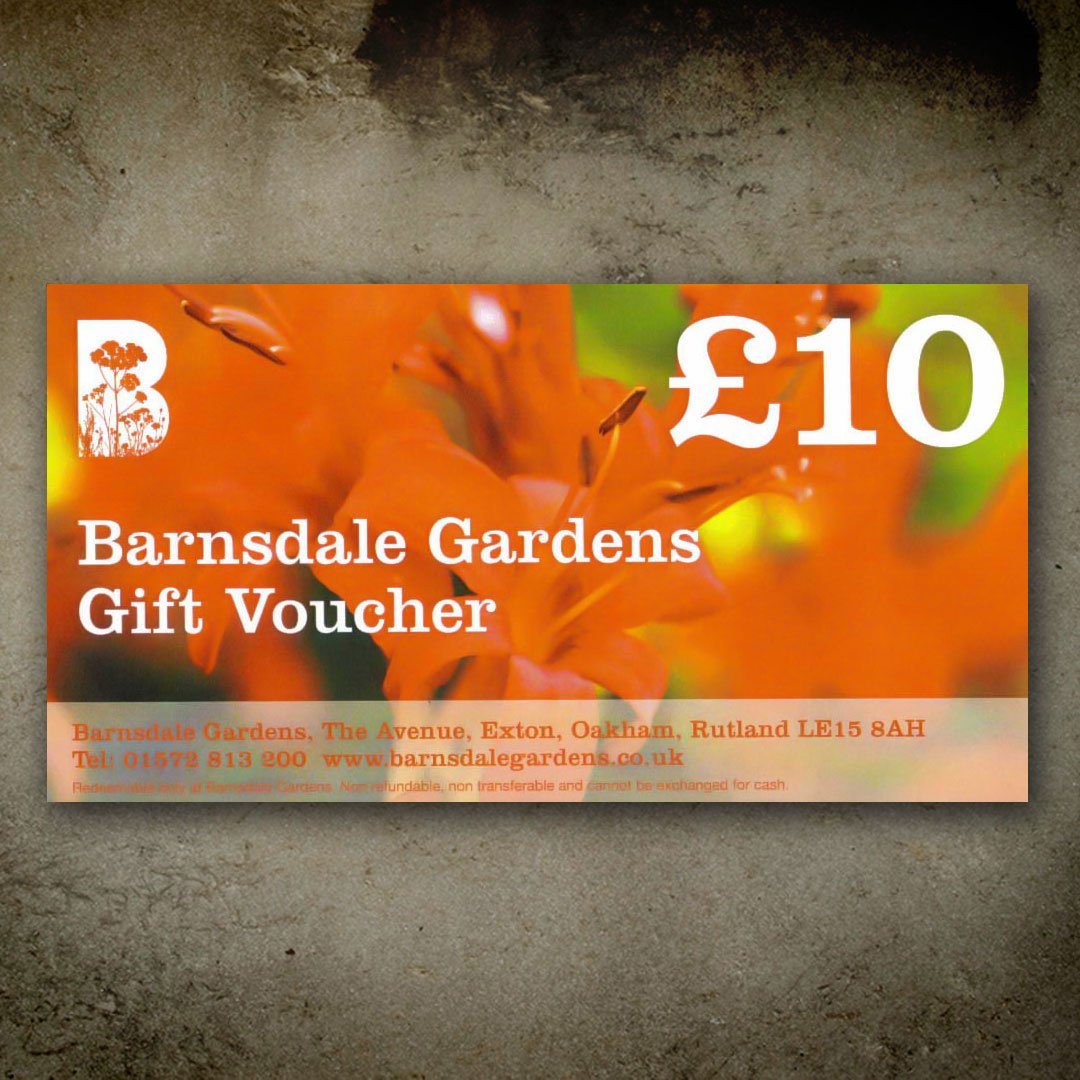 Gift Vouchers