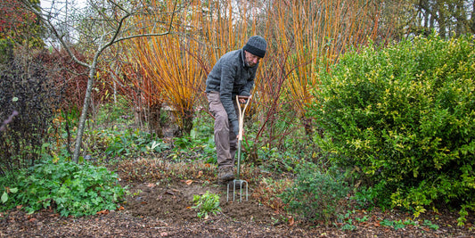 John Brocklebank using the Burgon & Ball BoronGreen Digging Fork at Barnsdale Gardens