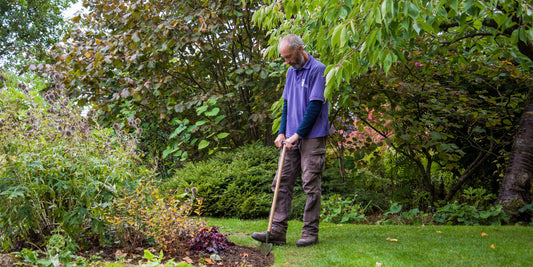 Cutting lawn edge with the Burgon & Ball BoronGreen Lawn Edger at Barnsdale Gardens
