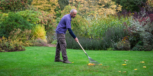 Jon Brocklebank using the Burgon & Ball BoronGreen Lawn Rake - RHS Endorsed at Barnsdale Gardens