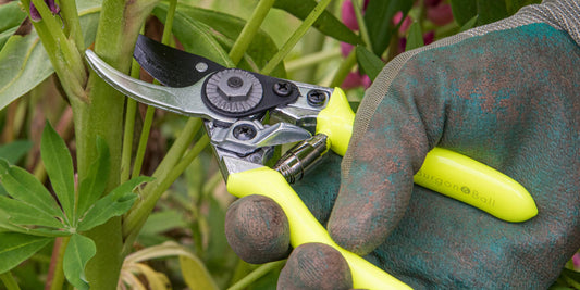 Burgon & Ball FloraBrite® Yellow Pocket Pruners