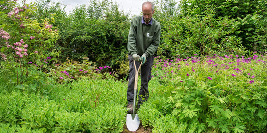 Jon Brocklebank using RHS endorsed Burgon & Ball Small Groundbreaker Spade at Barnsdale Gardens