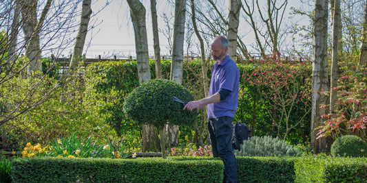 Jon Brocklebank trimming topiary in the Country Garden at Barnsdale Gardens