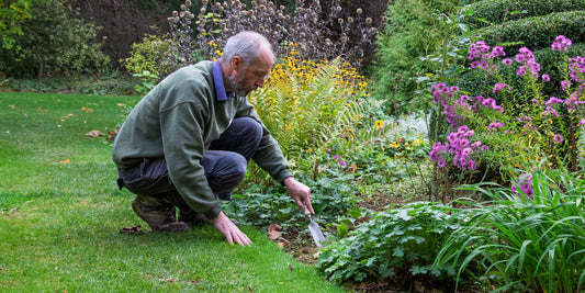 Garden tools review: weeding border at Barnsdale Gardens with a Sneeboer Weeding Trowel
