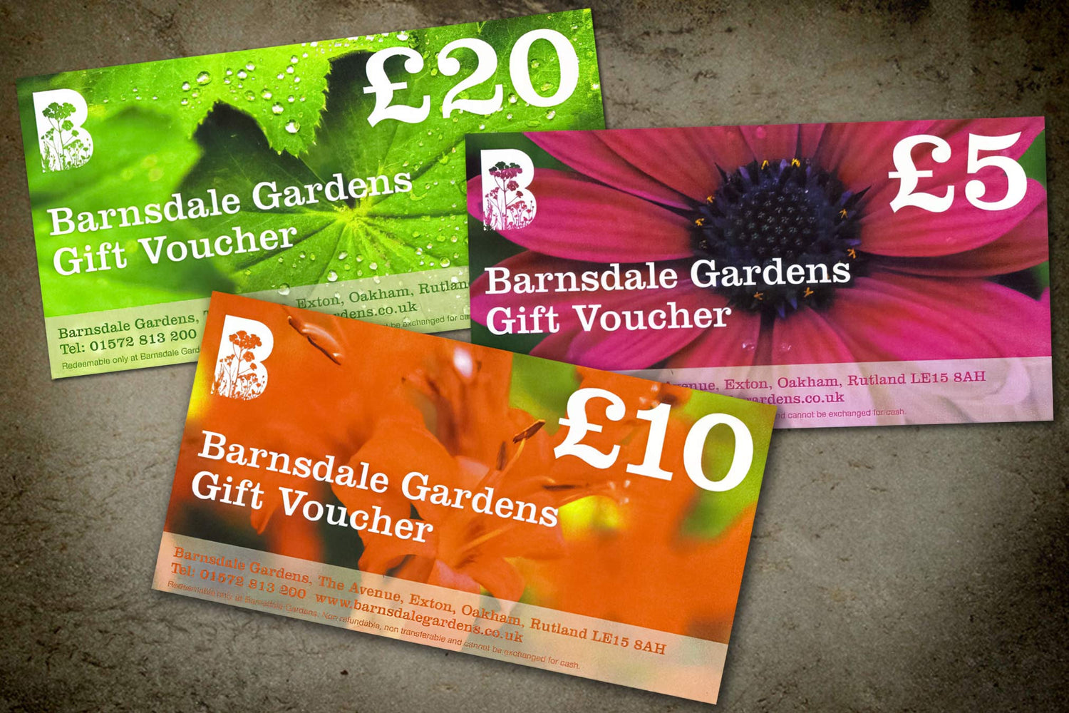 Gift vouchers to spend in the gifts shop, plants nursery, tea room or entry to the gardens at Barnsdale Gardens.