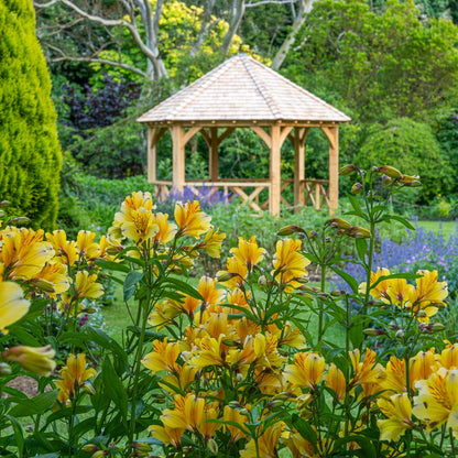 Barnsdale Gardens' Wedding Showcase. 4th October 2025.