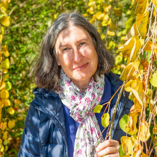 Karen Gimson portrait. 365 Days of Colour: Choosing plants for interest through the seasons gardening course.