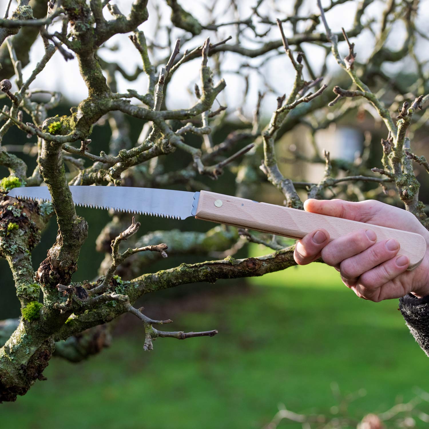 Niwaki Moku Folding Saw