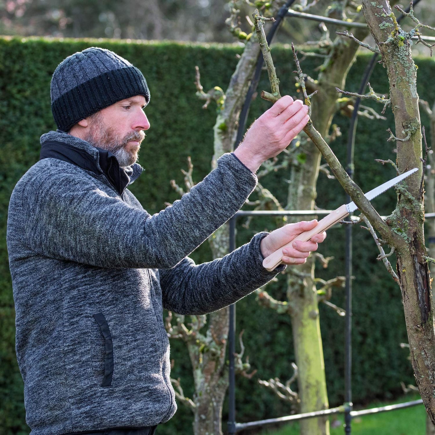 Pruning apple tree at Barnsdale Gardens with Niwaki Moku Folding Saw