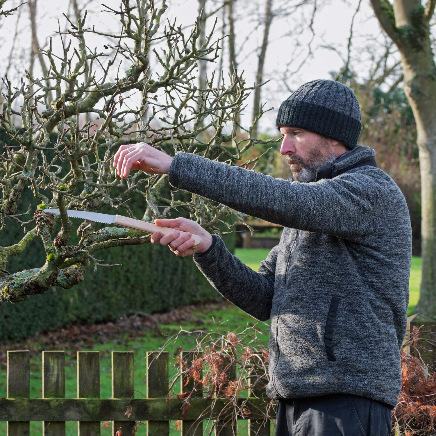 Pruning apple tree at Barnsdale Gardens with Niwaki Moku Folding Saw