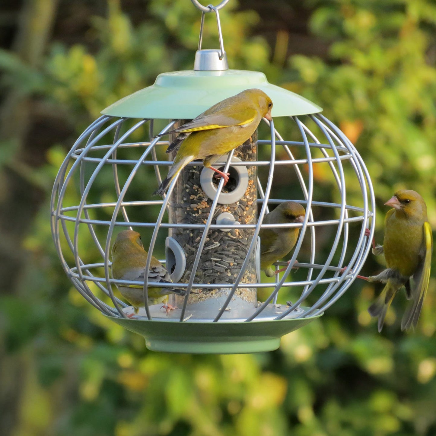 Helix Seed Feeder