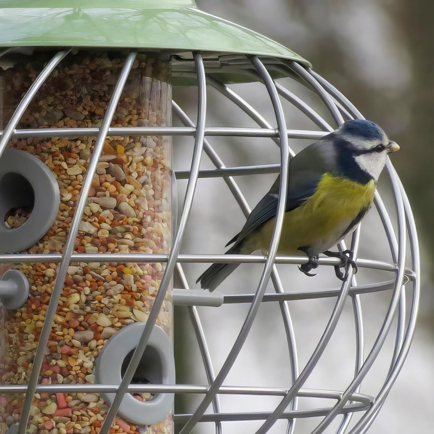 Helix Seed Feeder