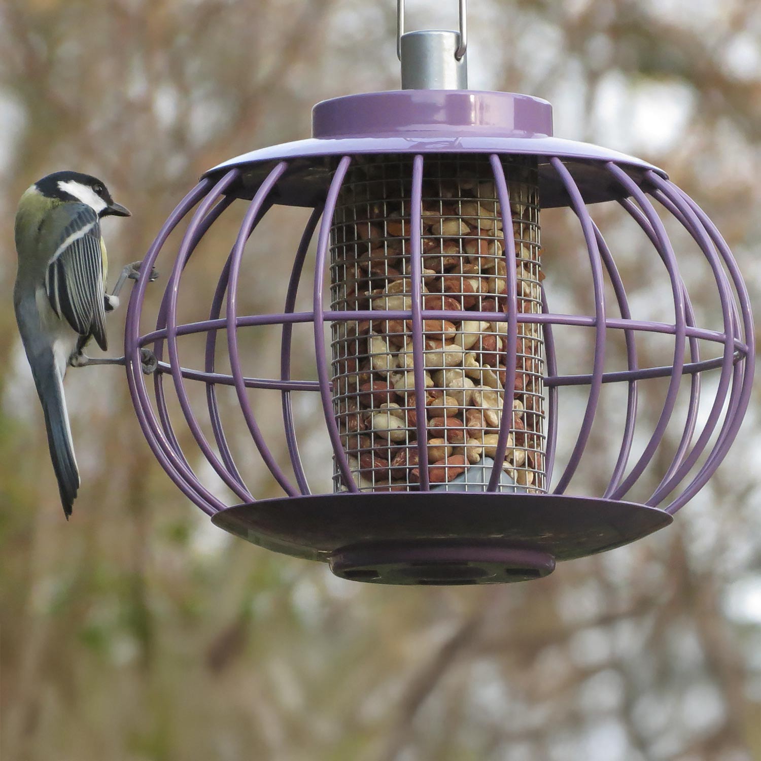 The Nuttery Lantern Nut Feeder