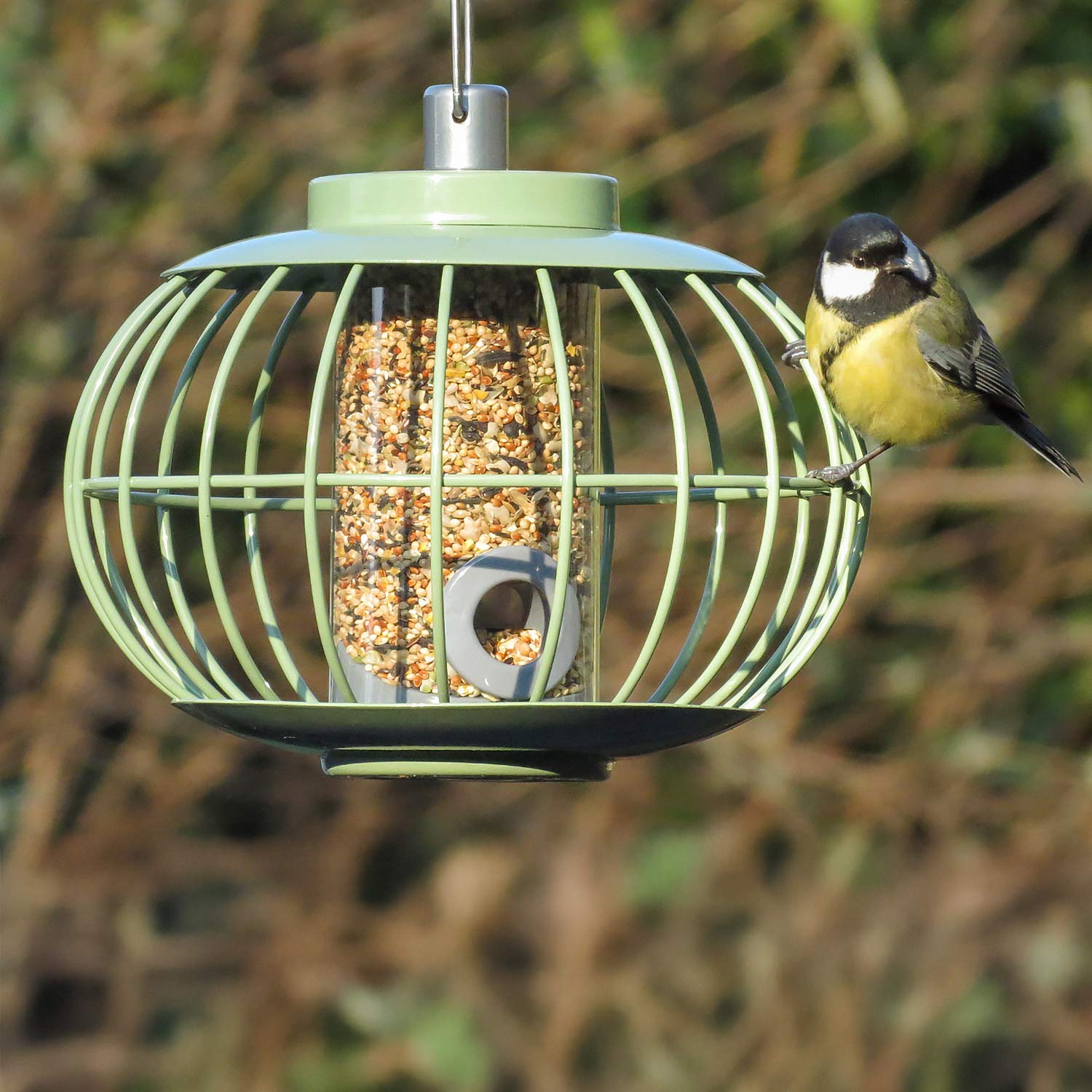 Lantern Seed Feeder by The Nuttery