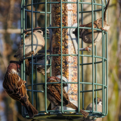 Original Seed Feeder