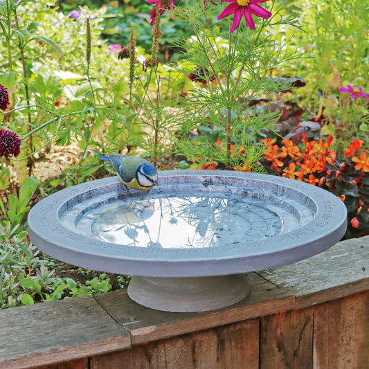 Shenstone Theatre Bird Bath and Drinker. A round gray stone bird bath with a small bluebird perched on the rim, a lush garden background.